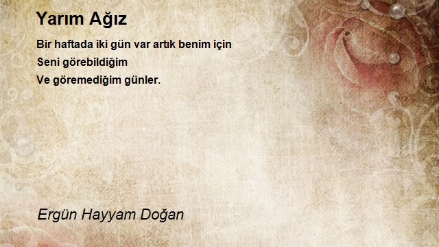 Ergün Hayyam Doğan