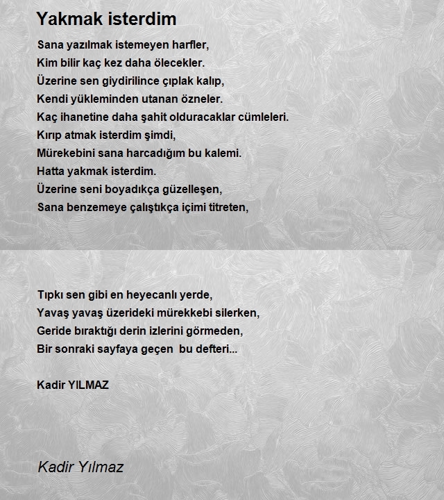 Kadir Yılmaz