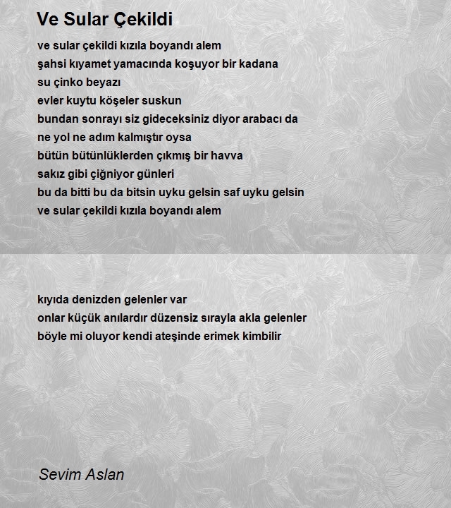 Sevim Aslan