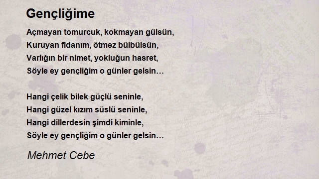 Mehmet Cebe