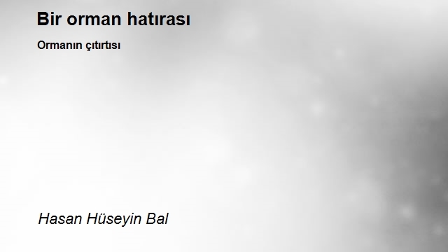 Hasan Hüseyin Bal