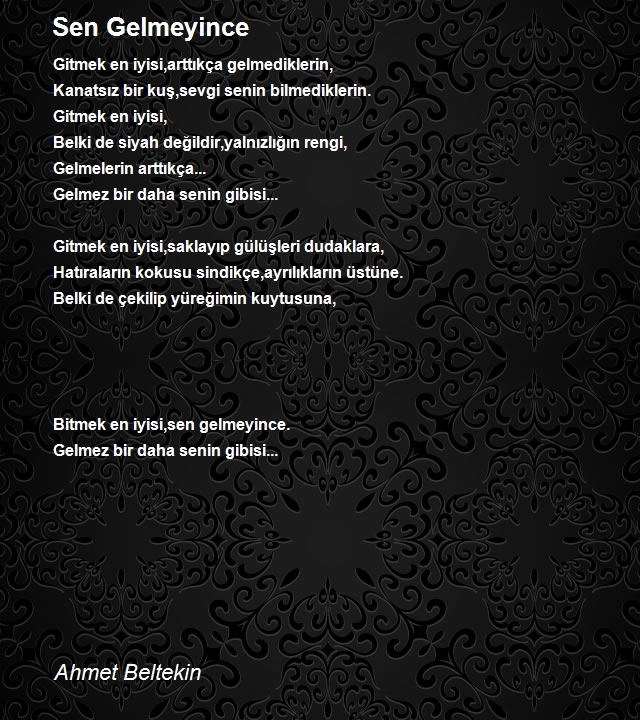 Ahmet Beltekin