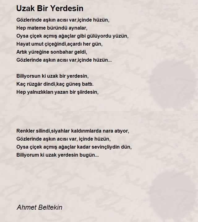 Ahmet Beltekin