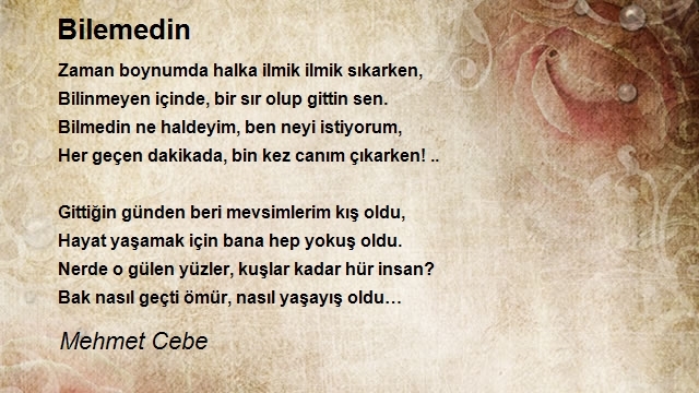 Mehmet Cebe