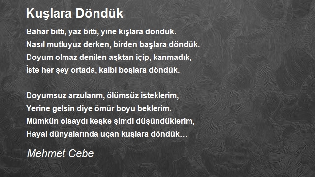 Mehmet Cebe