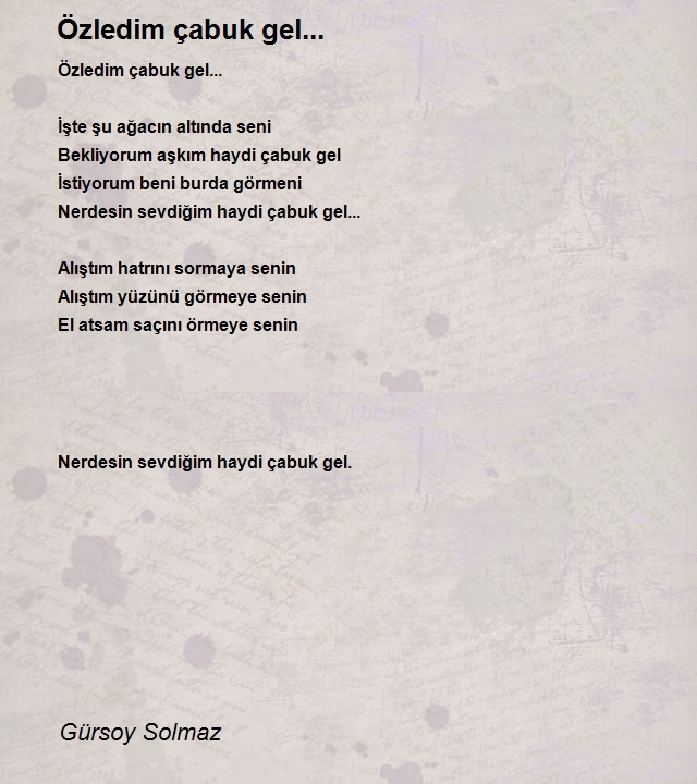 Gürsoy Solmaz