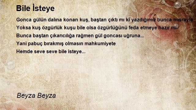 Beyza Beyza