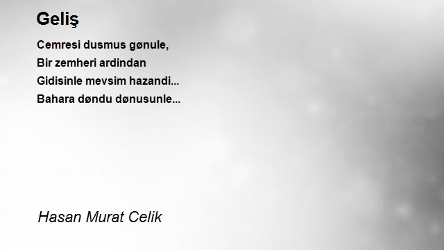 Hasan Murat Celik