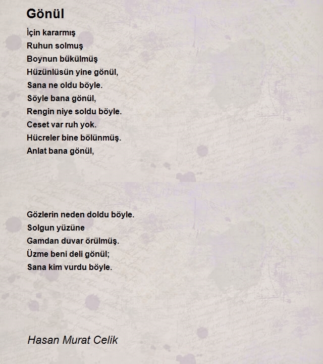 Hasan Murat Celik