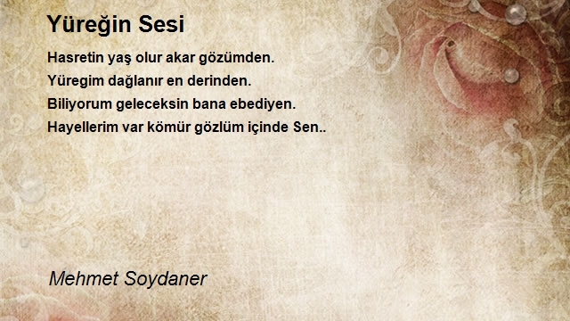 Mehmet Soydaner