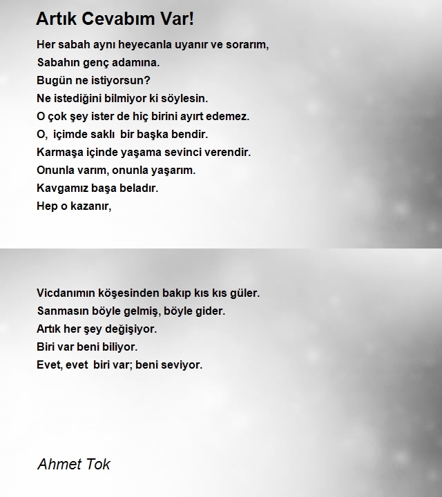 Ahmet Tok