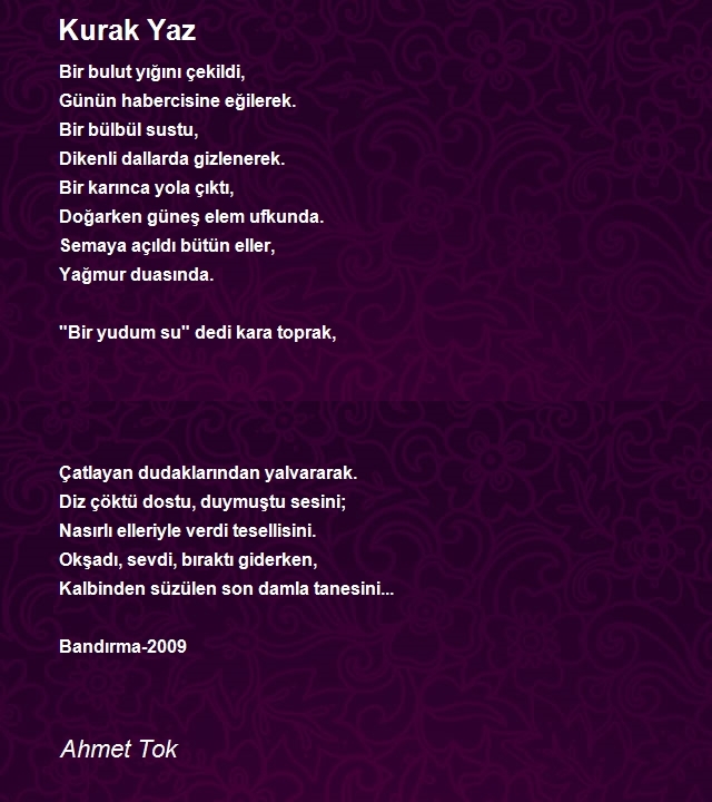 Ahmet Tok