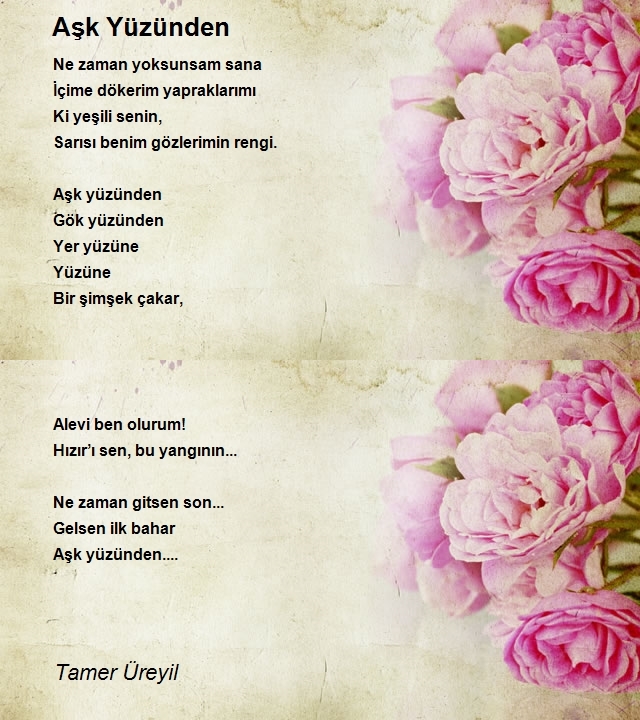 Tamer Üreyil