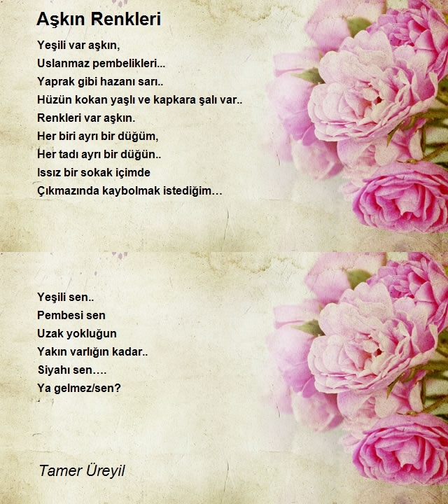 Tamer Üreyil