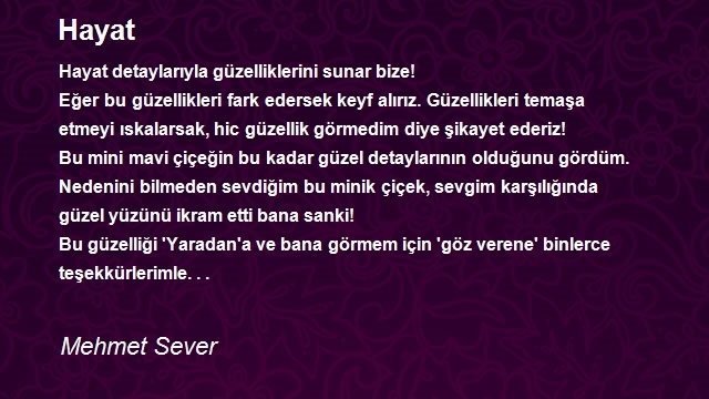 Mehmet Sever