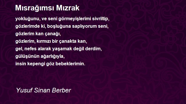 Yusuf Sinan Berber