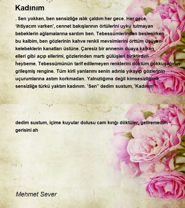 Mehmet Sever