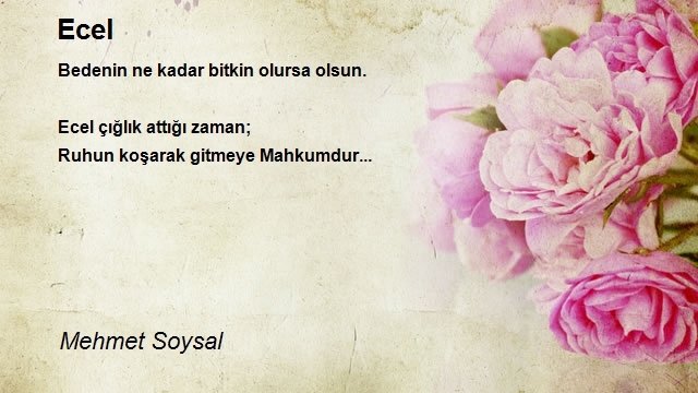 Mehmet Soysal