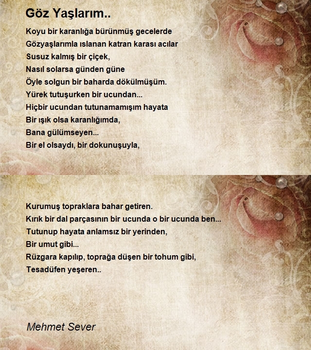 Mehmet Sever