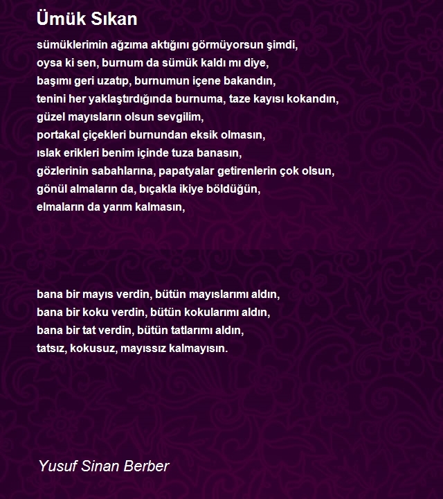 Yusuf Sinan Berber