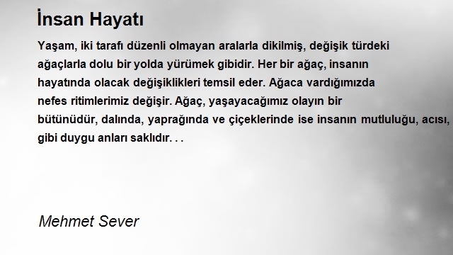 Mehmet Sever