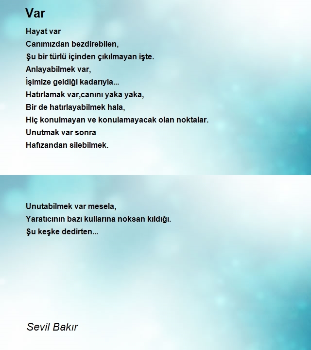 Sevil Bakır