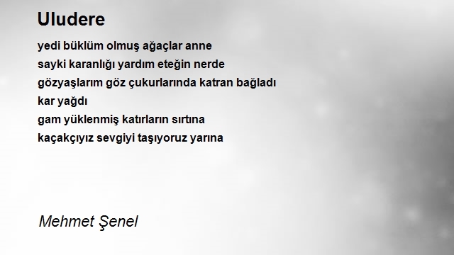 Mehmet Şenel