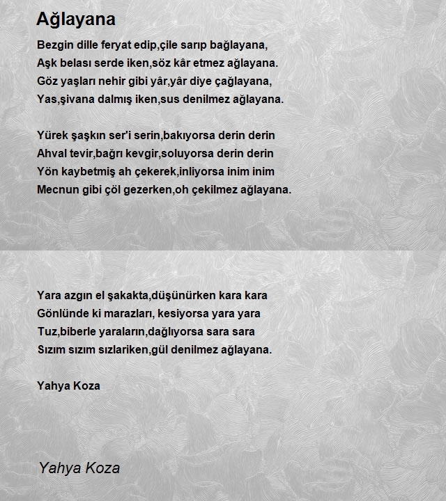 Yahya Koza