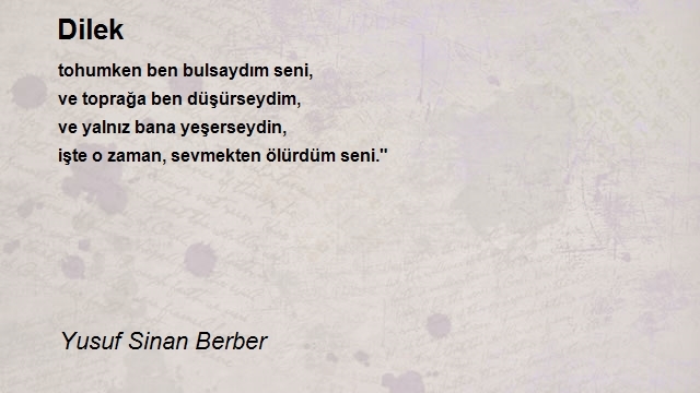 Yusuf Sinan Berber