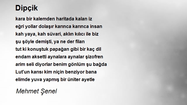 Mehmet Şenel