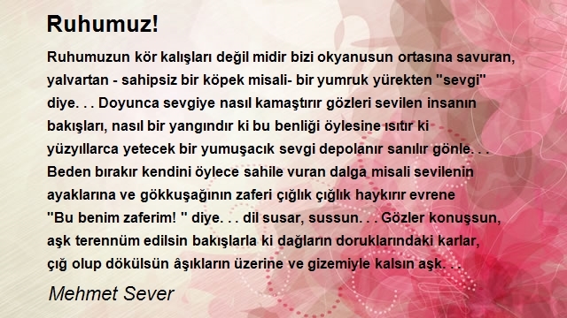 Mehmet Sever