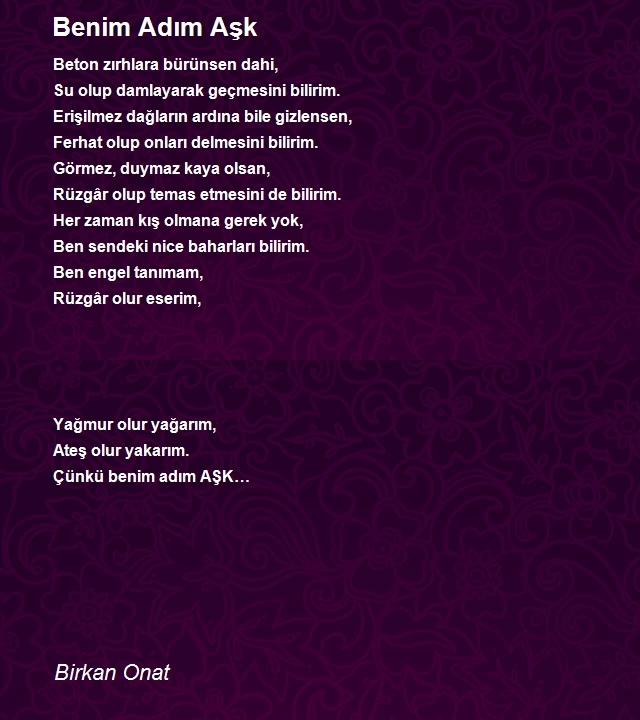 Birkan Onat