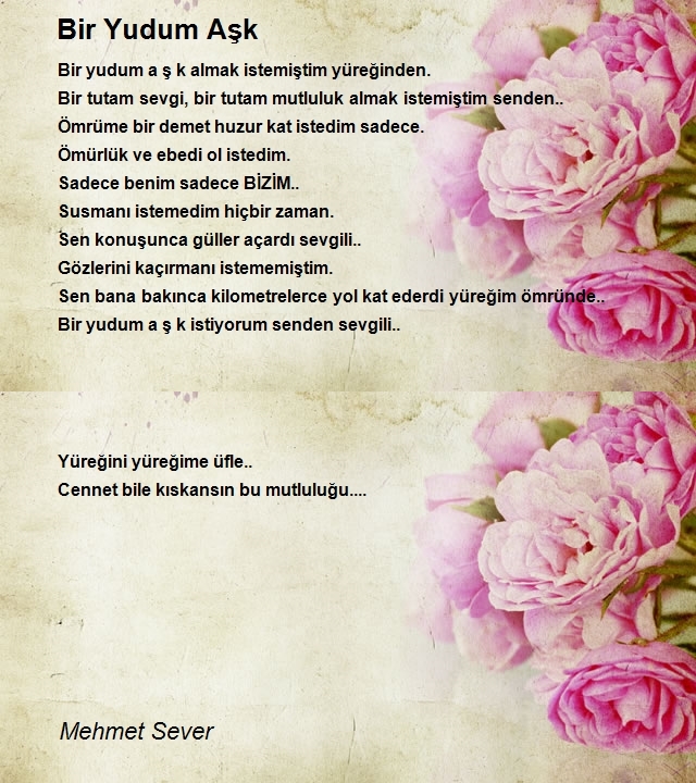 Mehmet Sever