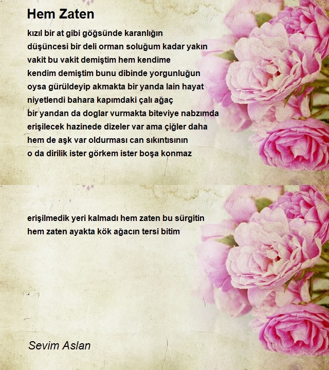 Sevim Aslan