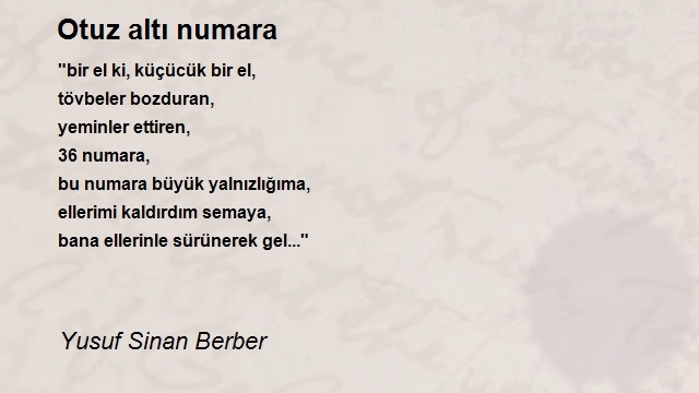 Yusuf Sinan Berber