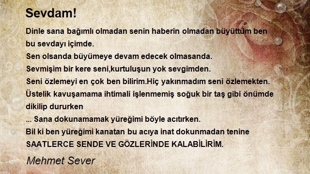 Mehmet Sever