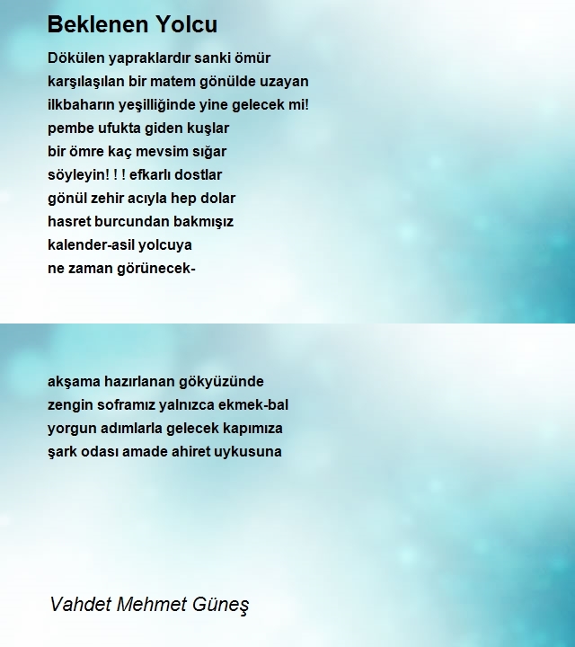 Vahdet Mehmet Güneş