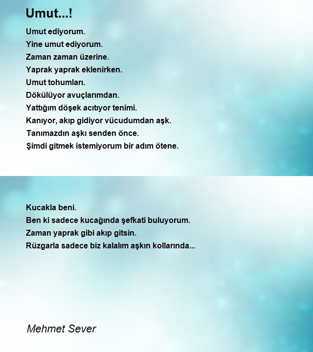 Mehmet Sever