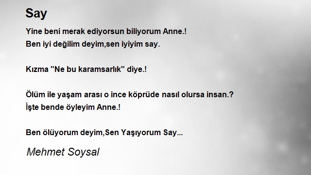 Mehmet Soysal