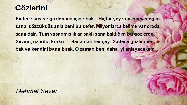 Mehmet Sever