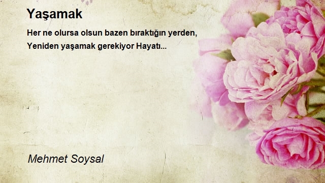 Mehmet Soysal