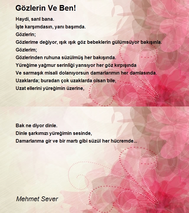 Mehmet Sever