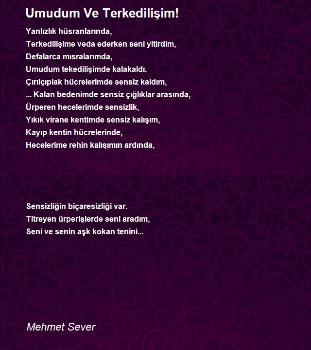 Mehmet Sever