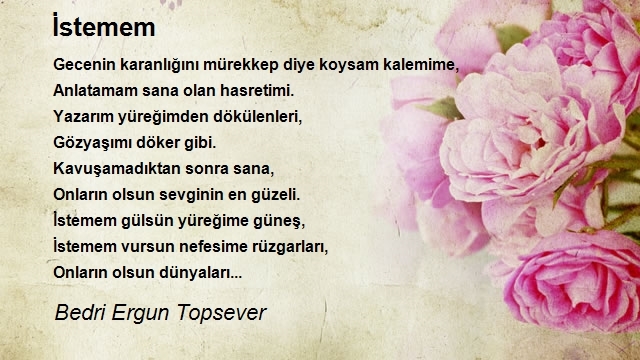 Bedri Ergun Topsever