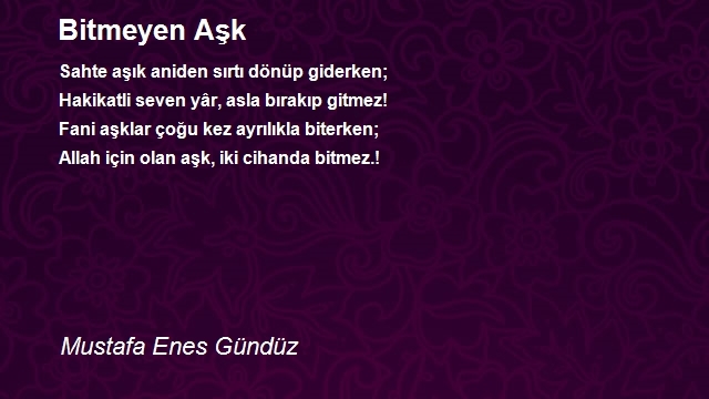 Mustafa Enes Gündüz