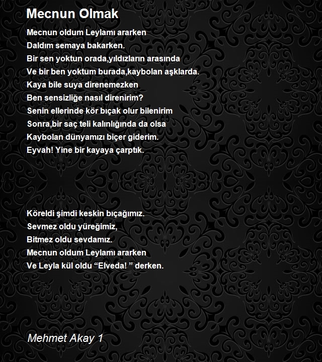 Mehmet Akay 1