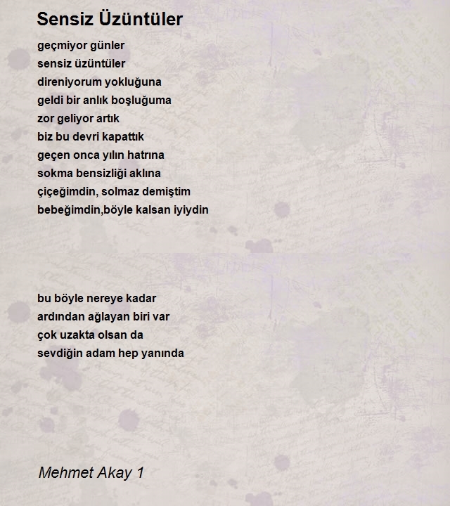 Mehmet Akay 1