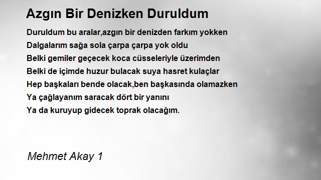 Mehmet Akay 1