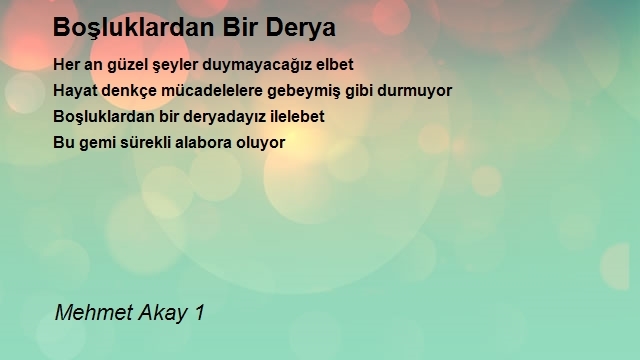 Mehmet Akay 1