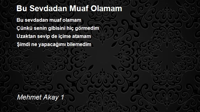 Mehmet Akay 1